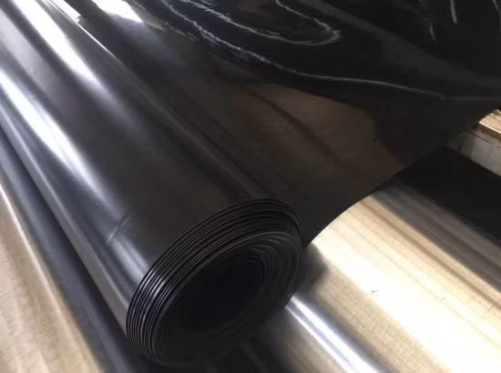 0.2mm/0.5mm/1.0mm/2.0mm 검정색 플라스틱 시트 라이너 CE/ASTM 농업/댐/매립/호수/바이오가스/양식 프로젝트용 Viring 방수 HDPE Geomembrane