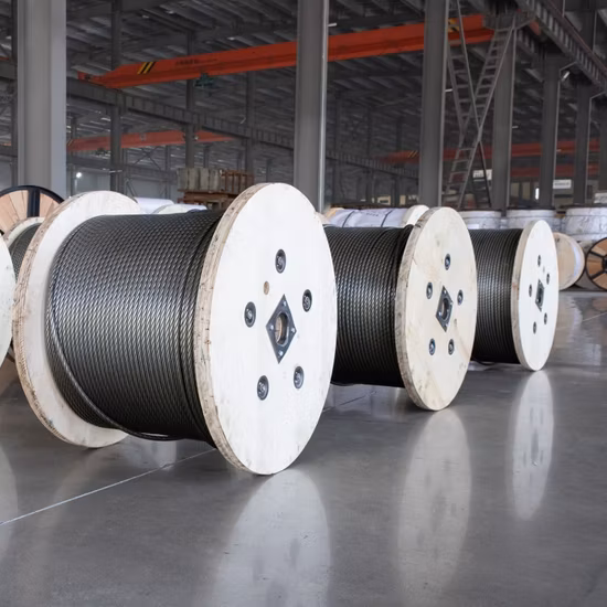 1X7/1X19/7X7/7X19/6X7+FC/6X19+FC SUS304/SUS316 산업용/자동차/건축/통신 또는 의료기기용 강선로프