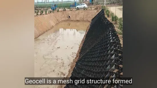 지상 강화 셀룰러 시스템 자갈 그리드 진입로 자갈 안정기 HDPE Geo Cell Geocell